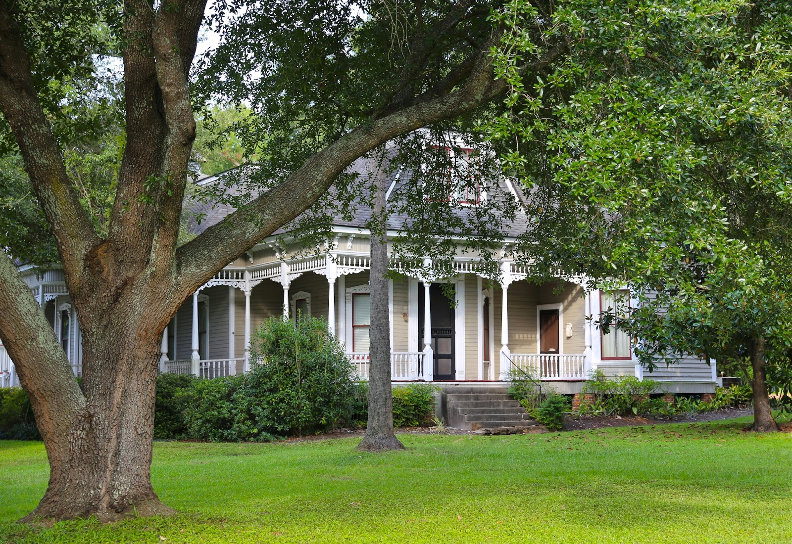 Sweet Southern Days The "Big Oak" in Thomasville,