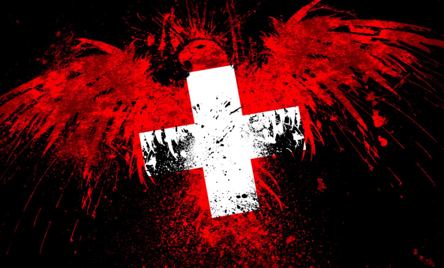 eagle on the swiss flag    Images And Wallpapers   all free to