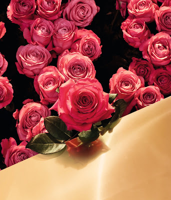 「來自Lancôme的玫瑰」Absolue 極緻完美玫瑰精華水