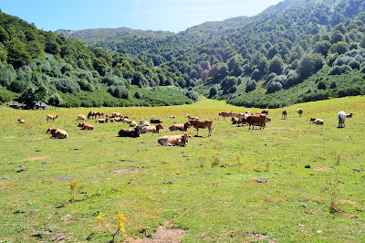 Ruta Bezanes-Brañagallones. Caso ( Asturias ) Las Recetas de Noe