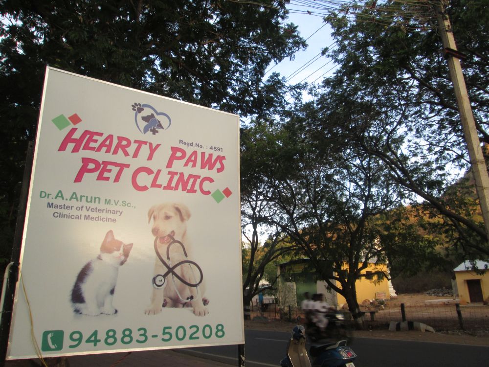 Hearty Paws Pet Clinic Tiruvannamalai ARUNACHALA GRACE