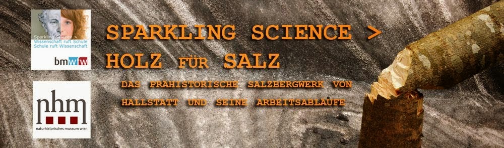 sparkling science - holz für salz