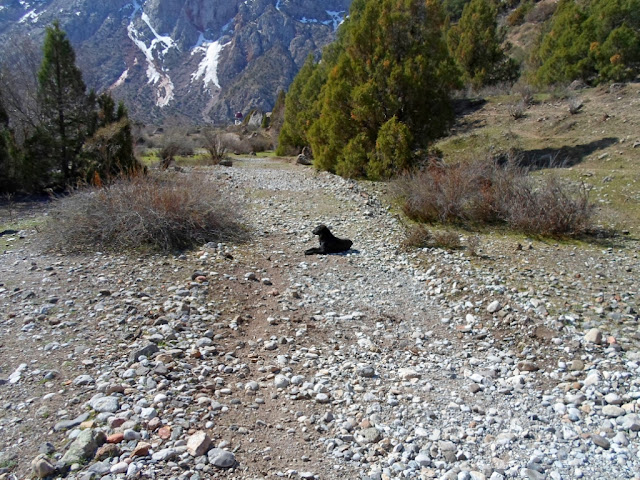 Поход в ущелье Арг, окрестности Искандеркуля, Фанские горы, Таджикистан