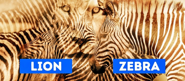 Gambar Pertama yang Anda Lihat Dapat Mengungkap Apa yang Paling Dirindukan Hati Anda