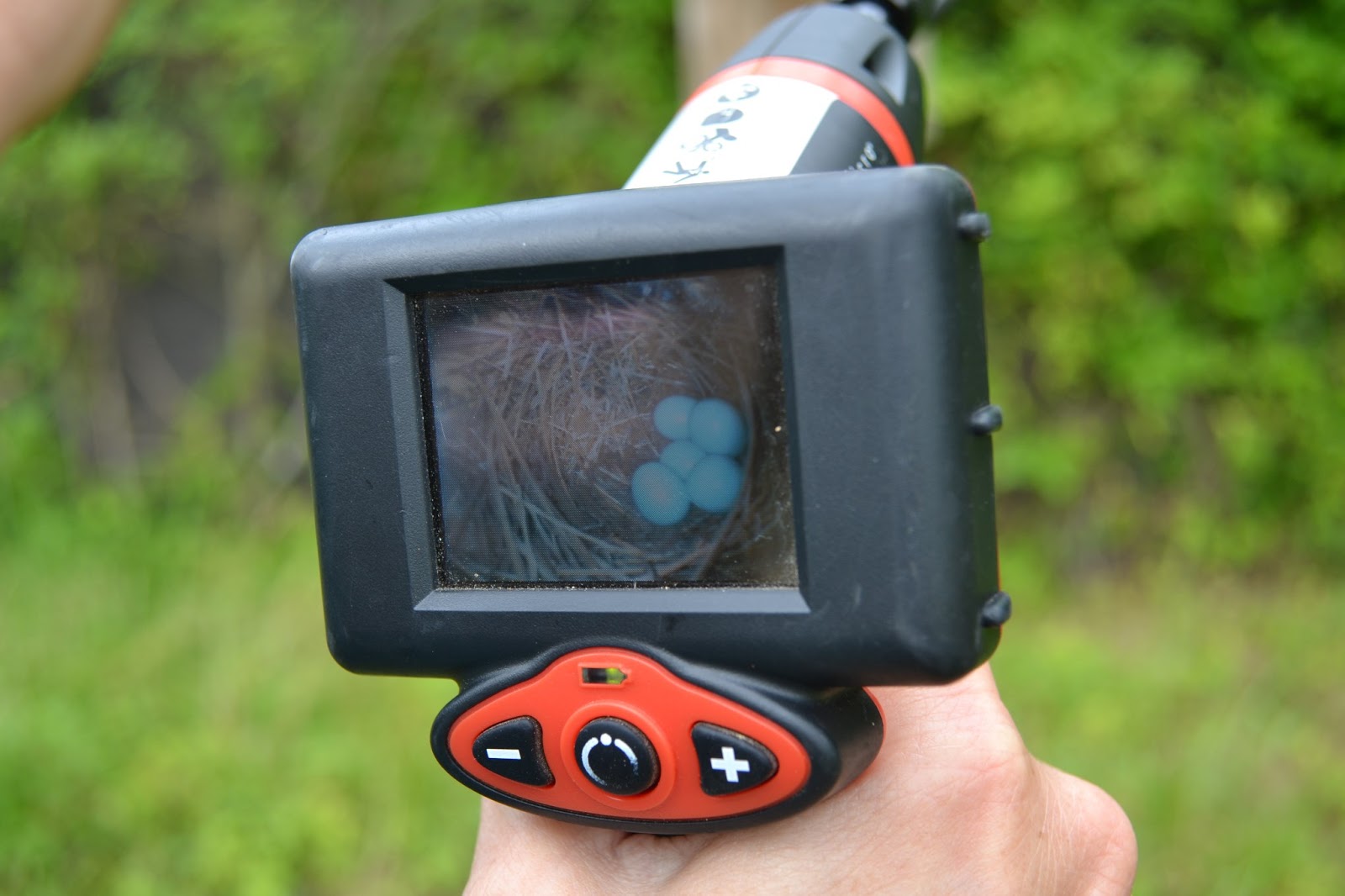 The Bear Trace at Harrison Bay Golf Course Maintenance Bluebird Nest