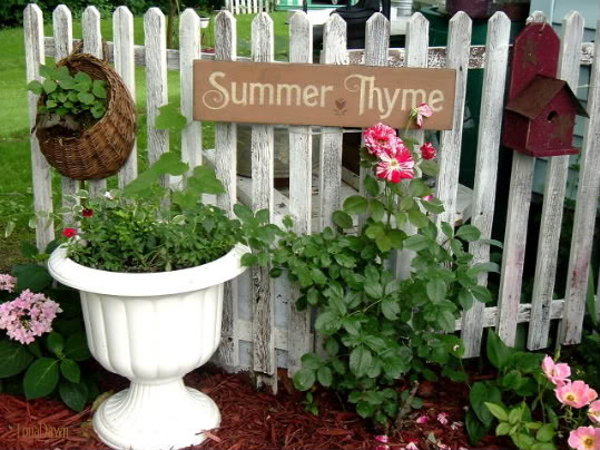 Garden Cafe': Herb Garden Ideas