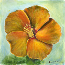 hibiscus acrylics painting janet graham painted
