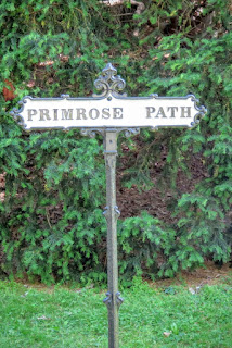 Image result for down the primrose path