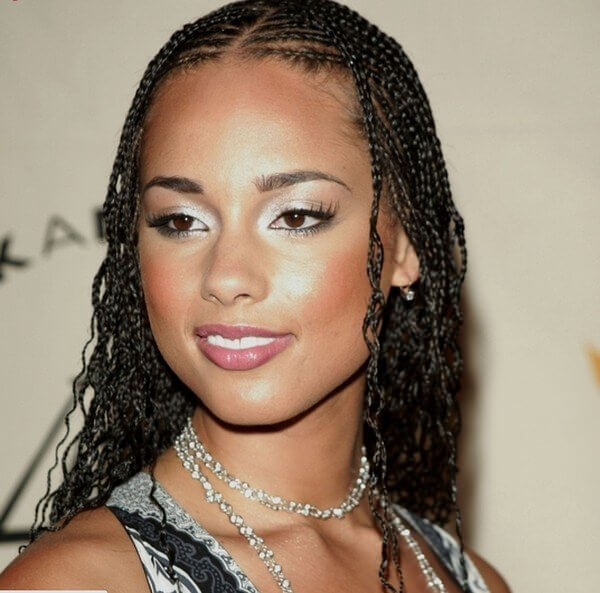 37 Amazing Afro Micro Braids Styles Ponytails For Natural Hair To
