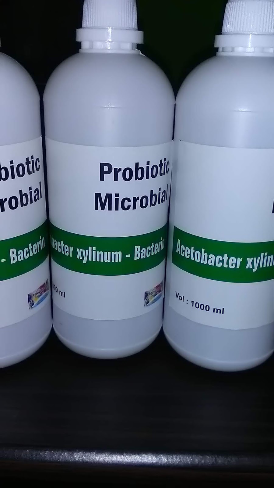 Jual Bakteri Acetobacter xylinum - AGROTEKNO LAB