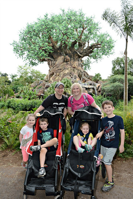 Tree of Life, Animal Kingdom, Walt Disney World