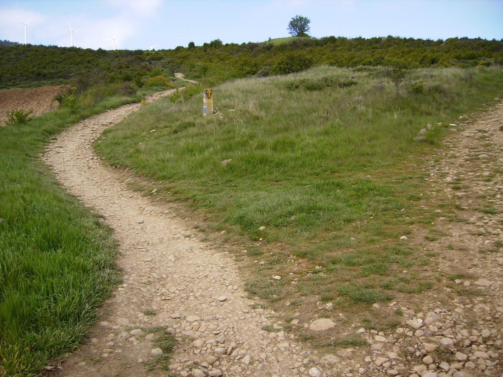 Montes de Navarra Sierra del PerdónErreniaga desde Zariquiegui