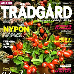 Allt om Trädgård nr14/12