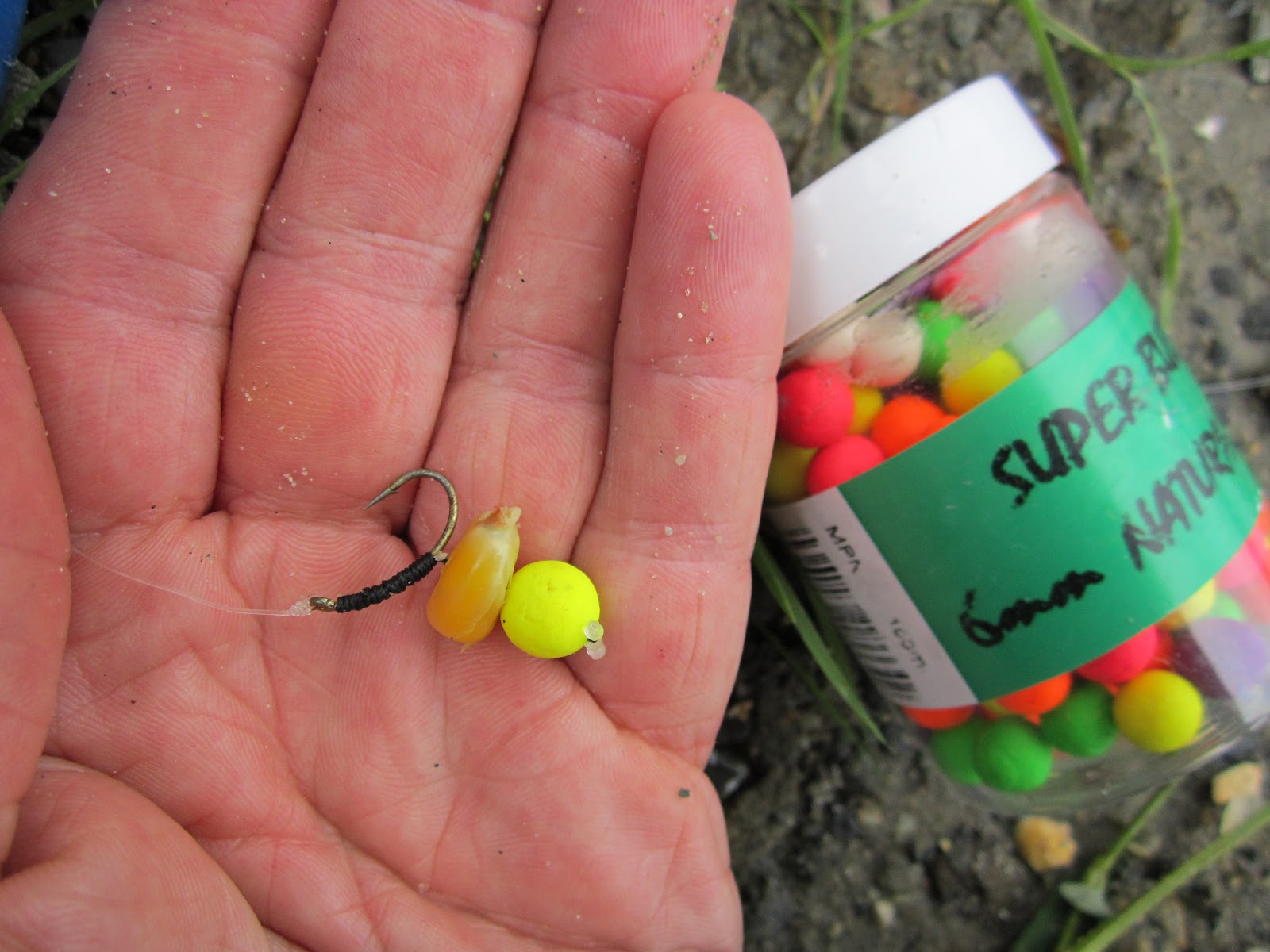 Rhode Island Carp Fishing Power of PopUps