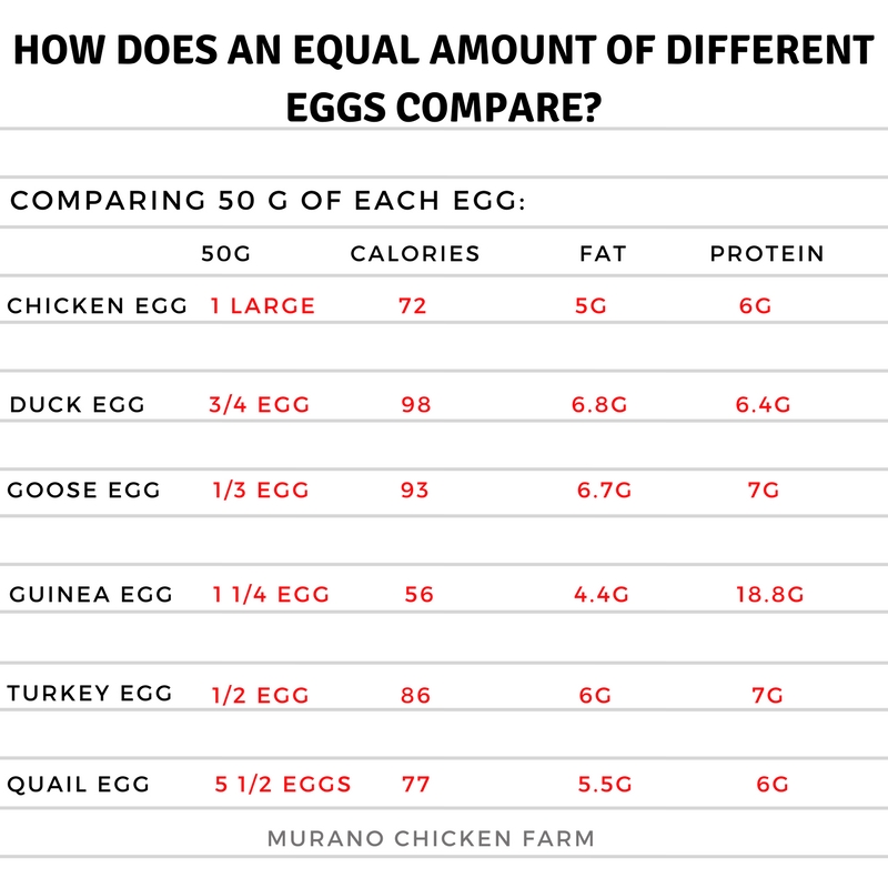 Chicken Egg Nutrition Chart