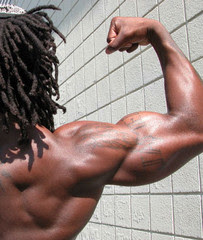 Finest Bicep Workouts For Tricep / Bicep Size