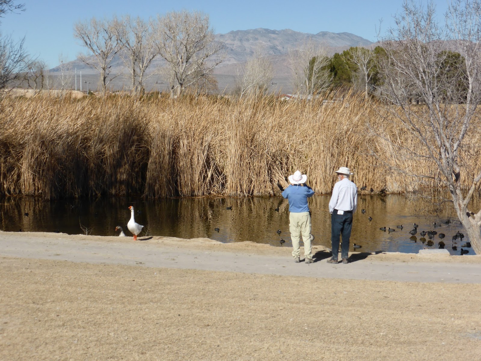 Ken's Photo Gallery Daytrip Floyd Lamb Park at Tule Springs