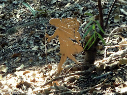 fairies really fairy welsh believe australia