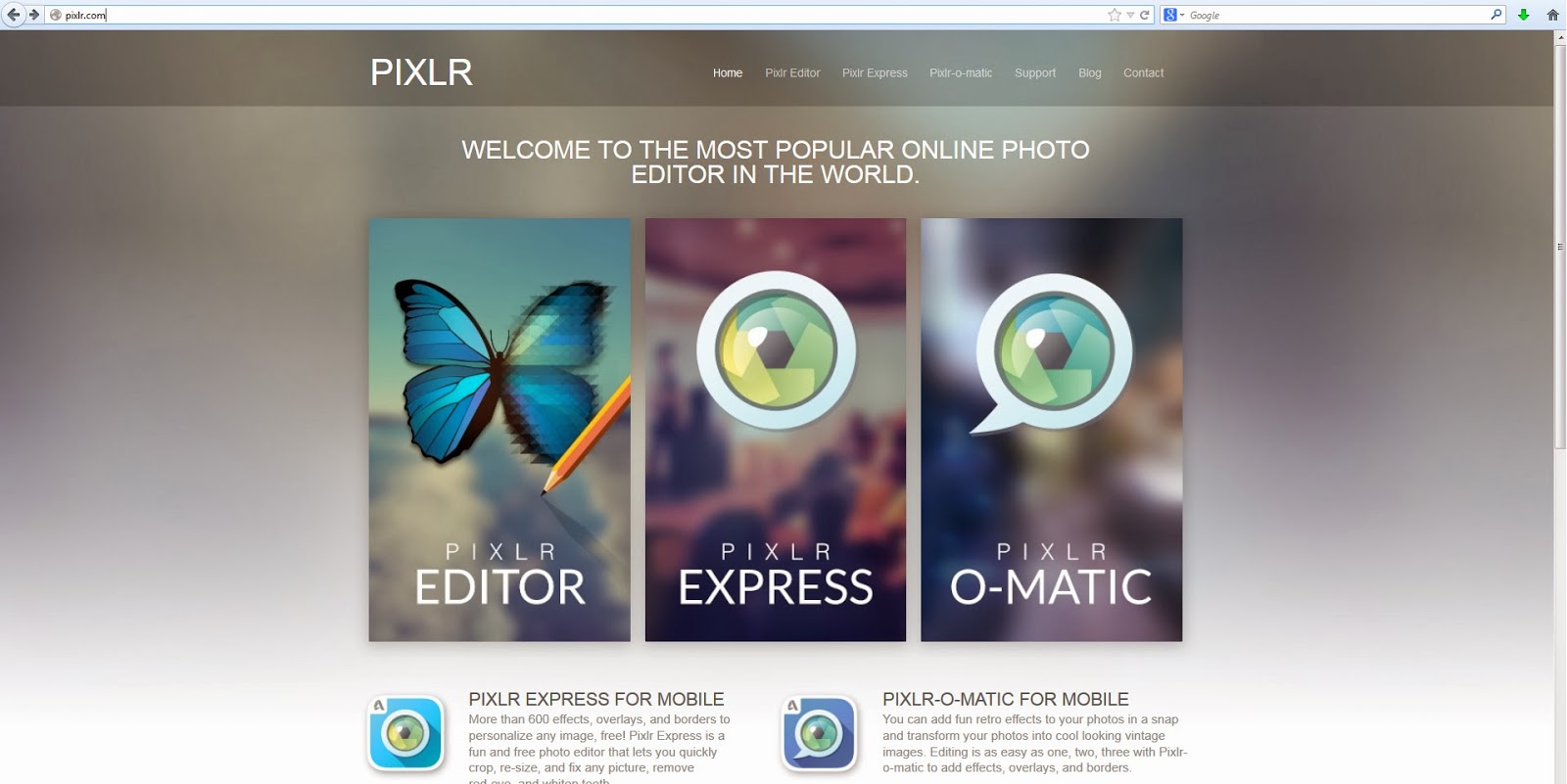 Happy Gecko Sticky Situation: Creating a Text Watermark in Pixlr