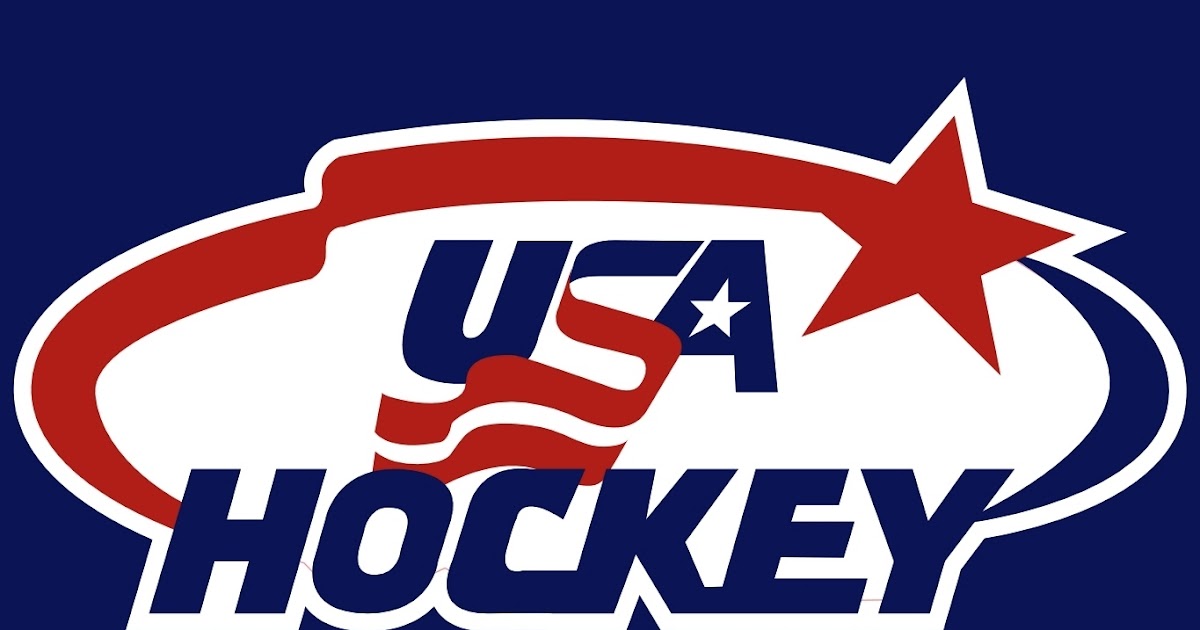 AKPsi Motor City Hockey Night in Plymouth