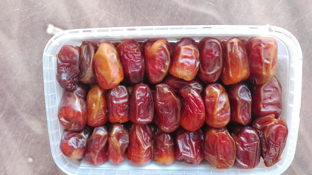 Mudga Agriculture & Food Products suppliers Egyptian Dates suppliers