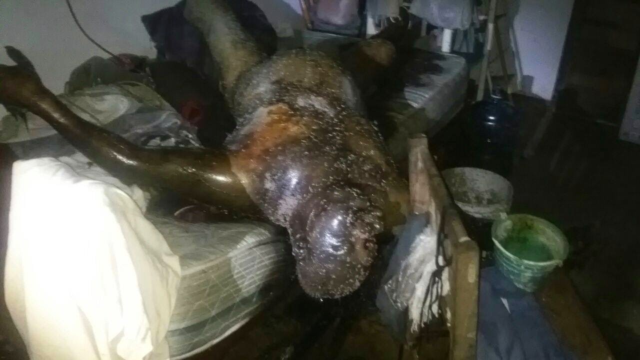 Cuando Empieza A Oler Un Cadáver