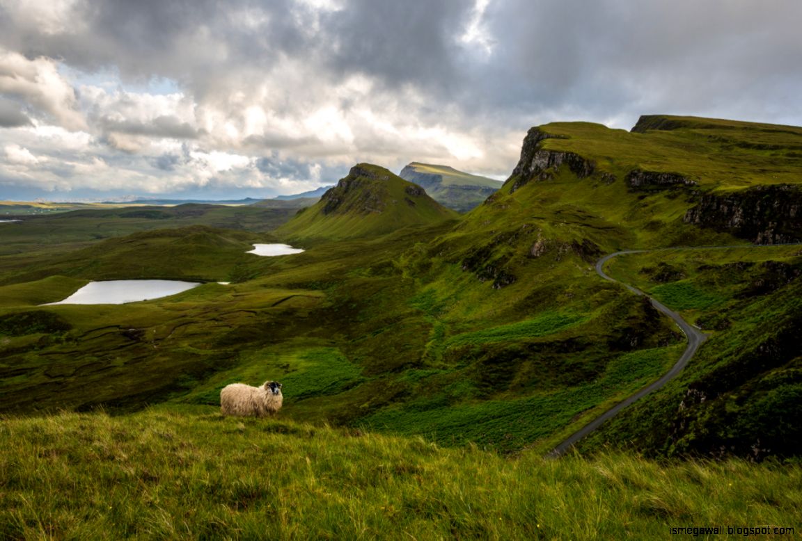 Scotland nature reserves. Холмы Шотландии. Скадбный холмы Шотландии. Шотландия холмы Эстетика. Холмы Шотландии фото.