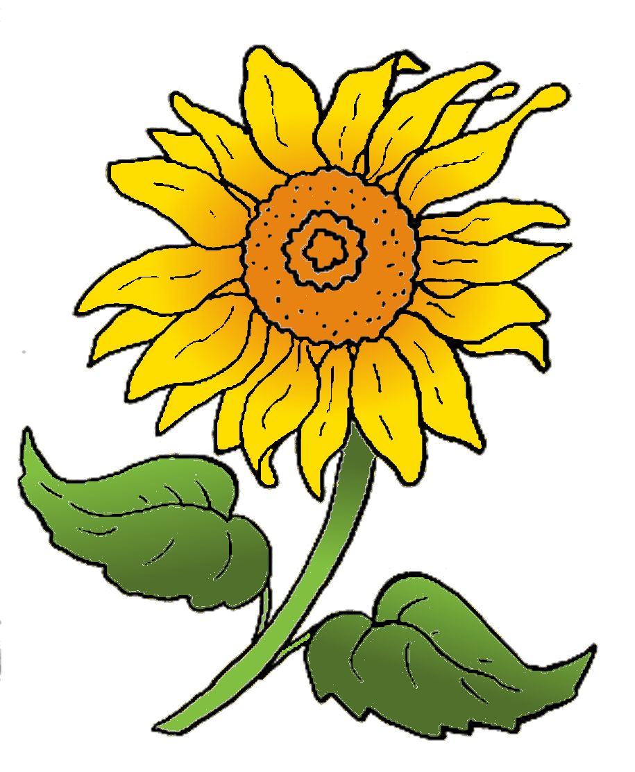 Papierpotpourri: Ausmalen und mehr