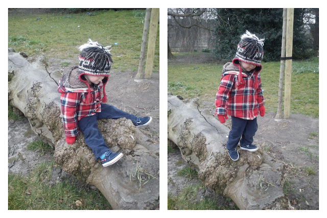 climbing logs