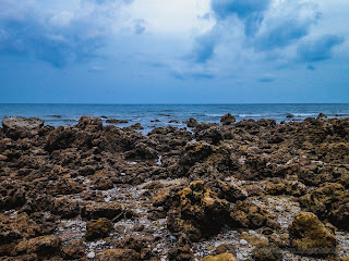Natural Beauty Of The Beach With Many Coral Reefs At Umeanyar Village, North Bali, Indonesia
