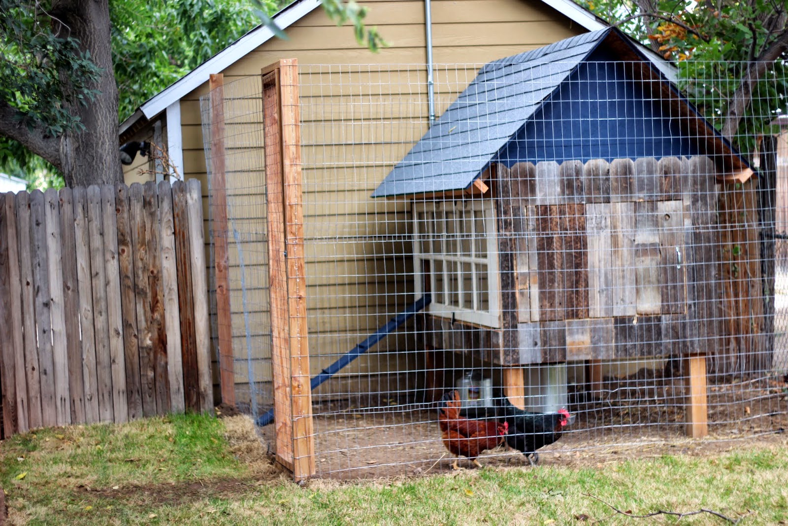 Rocky Top Ramblers Finishing Touchs on the Denver Chicken Coop