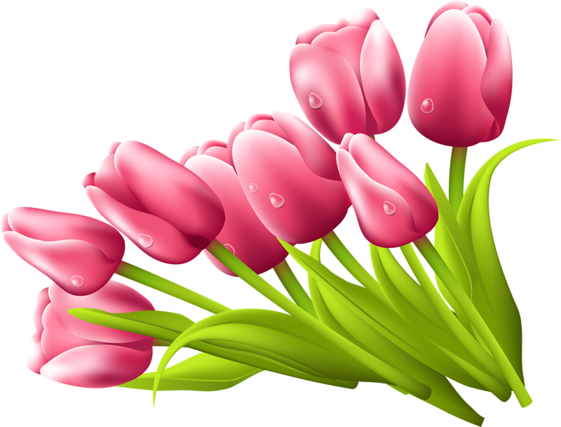 Desenler: Png Tulips