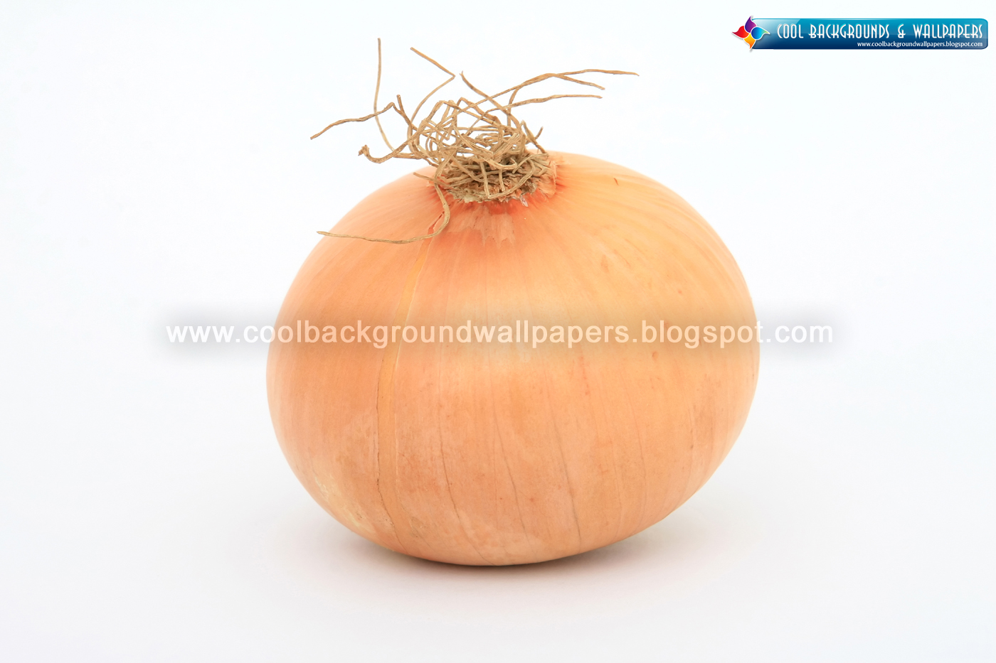 Ouraless Photos Fresh Gold Onion HD Wallpapers