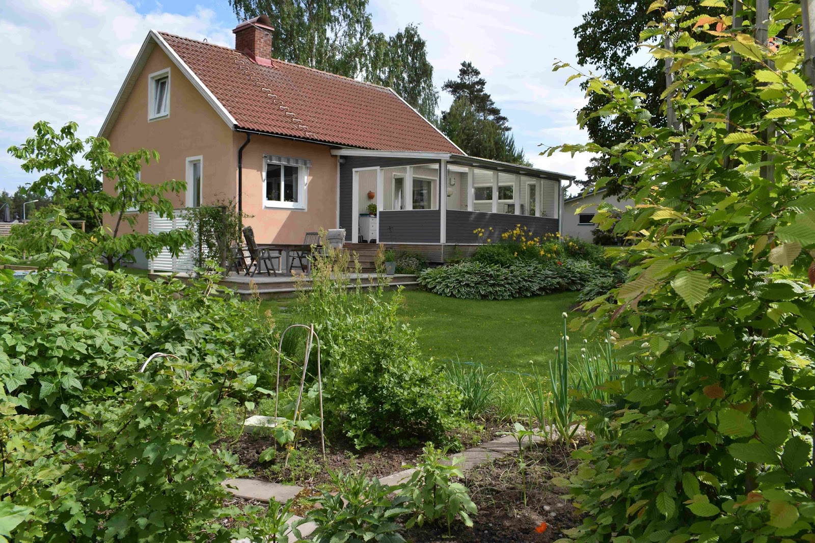 Rickardssons rosor & rabarber: trädgården runt med vackra och ...