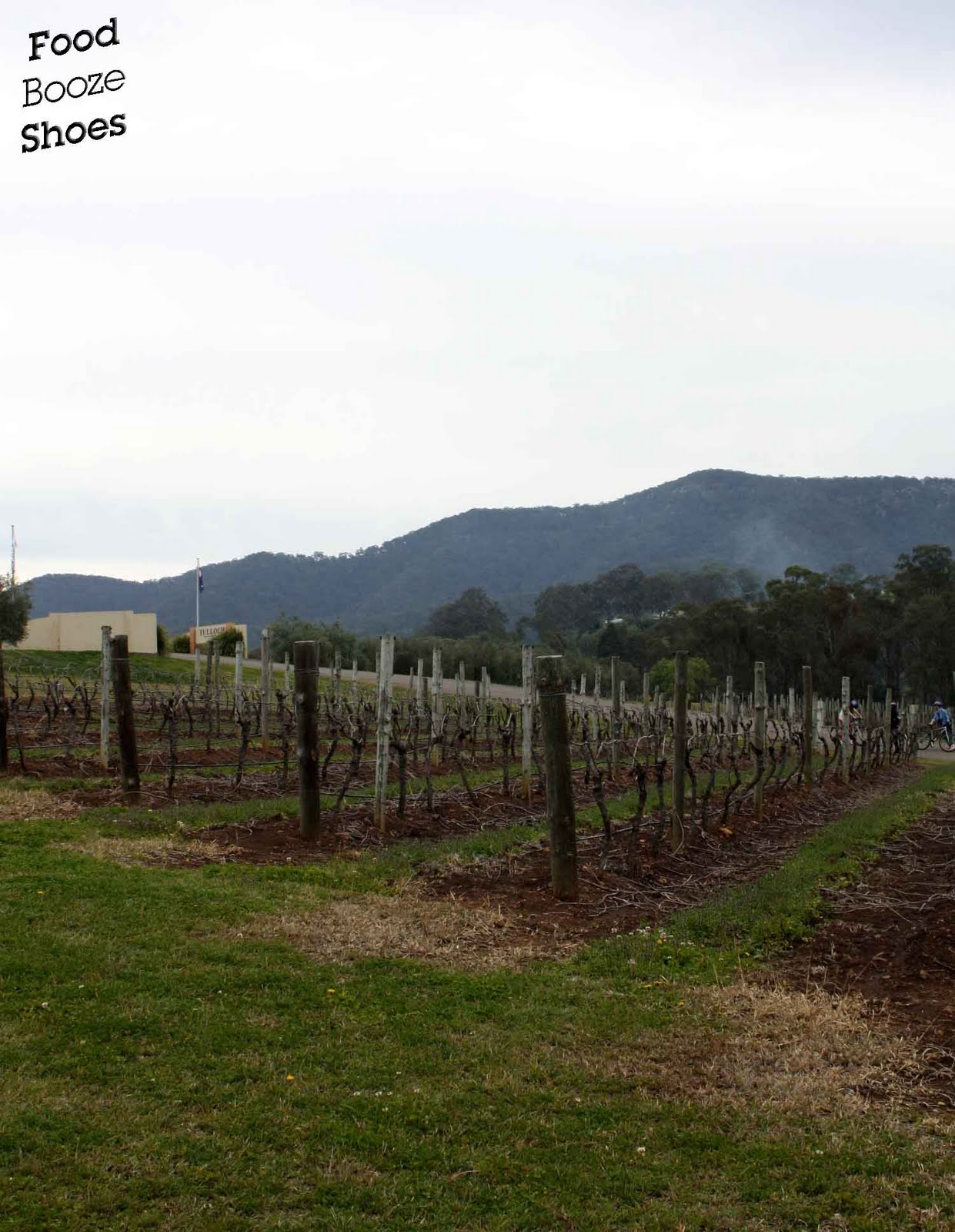 Food, booze and shoes A race through Hunter Valley part 1