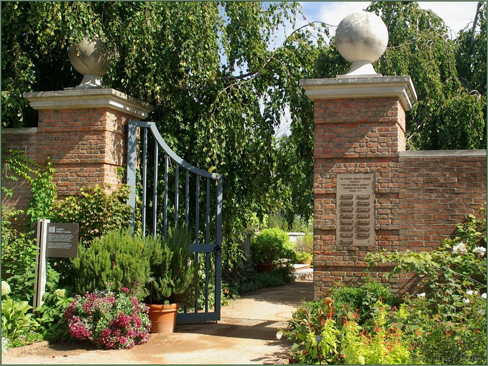 Plant Gallery - Encyklopedia Roślin: English garden photos, pictures