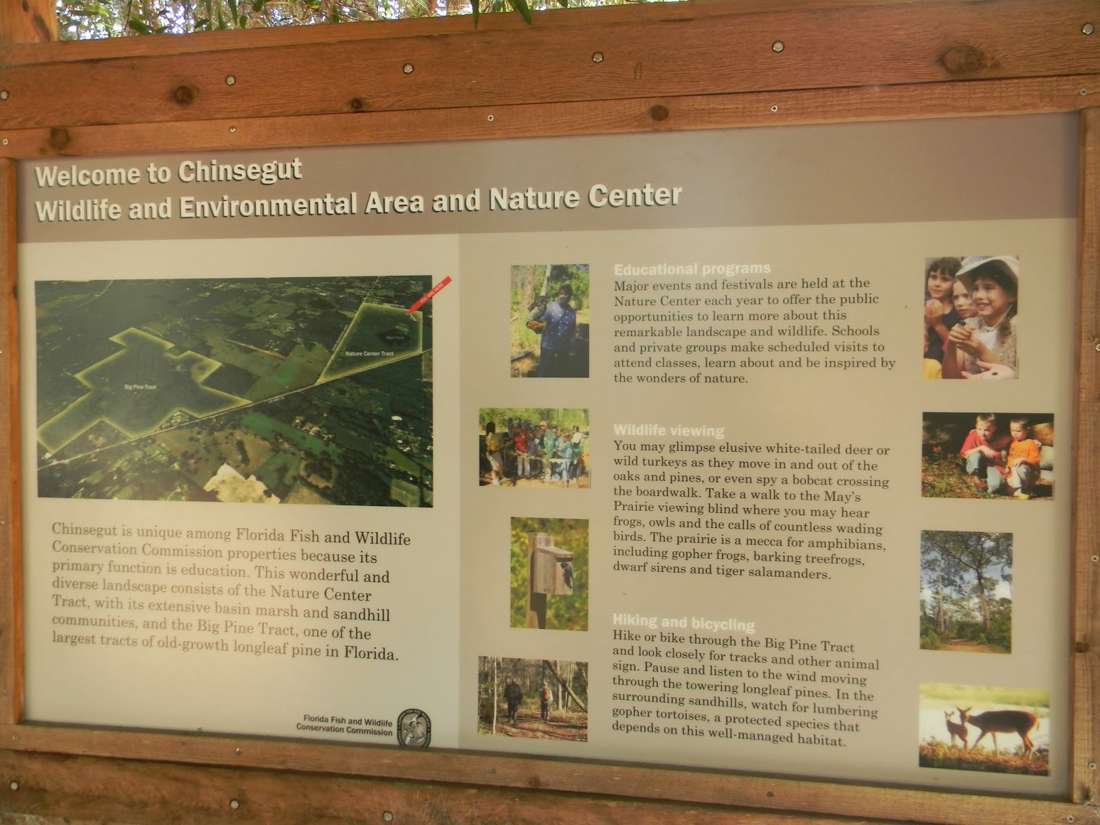 Hook up website in homosassa springs florida county