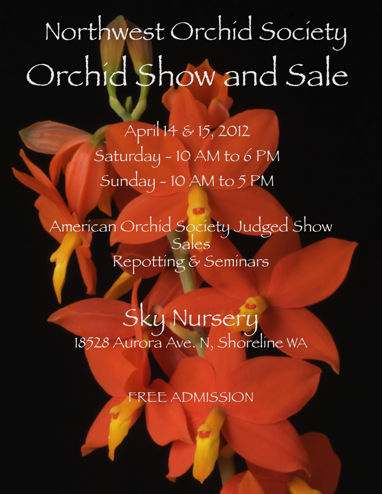 Shoreline Area News NW Orchid Society Annual Orchid Show And Sale shoreline-area-news-nw-orchid-society-annual-orchid-show-and-sale