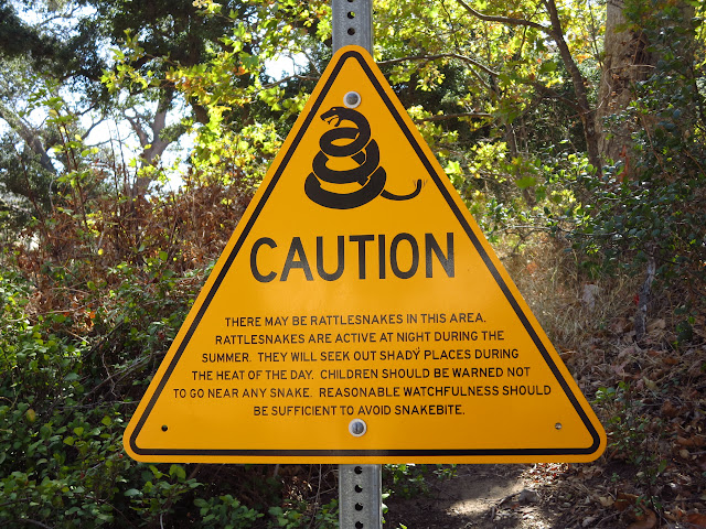 Rattlesnake Warning Sign