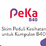 Skim PeKa B40