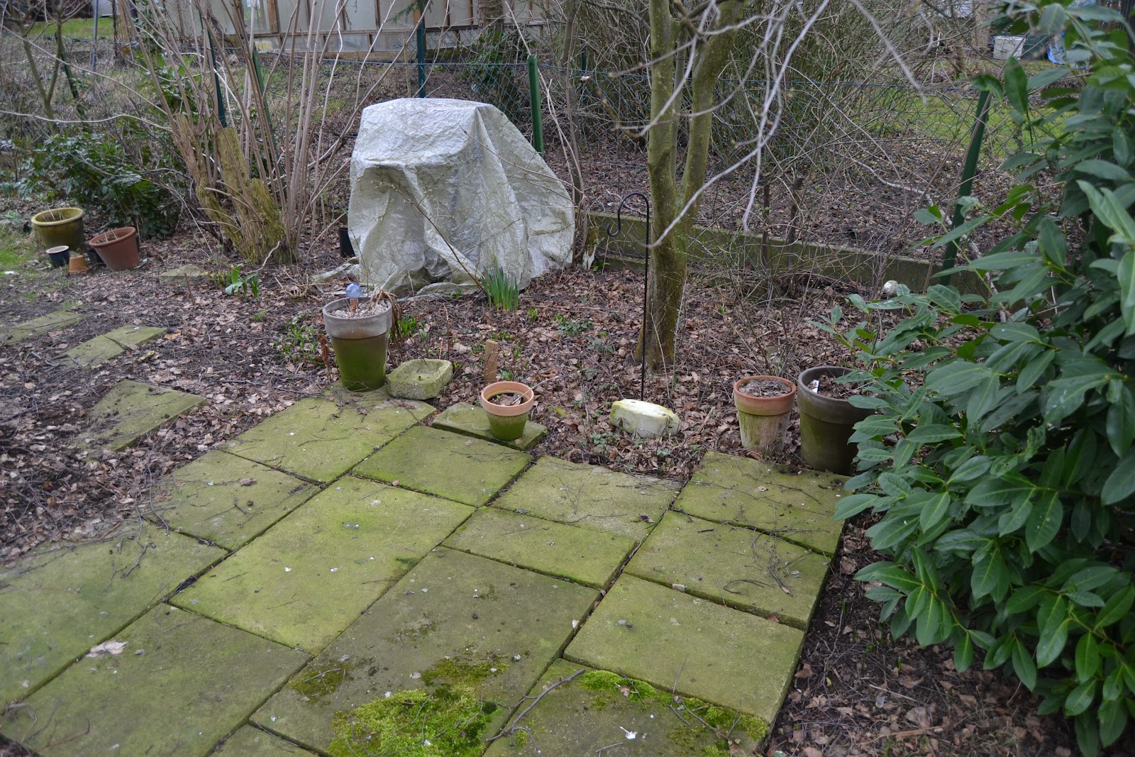 traedraum: Gartenideen