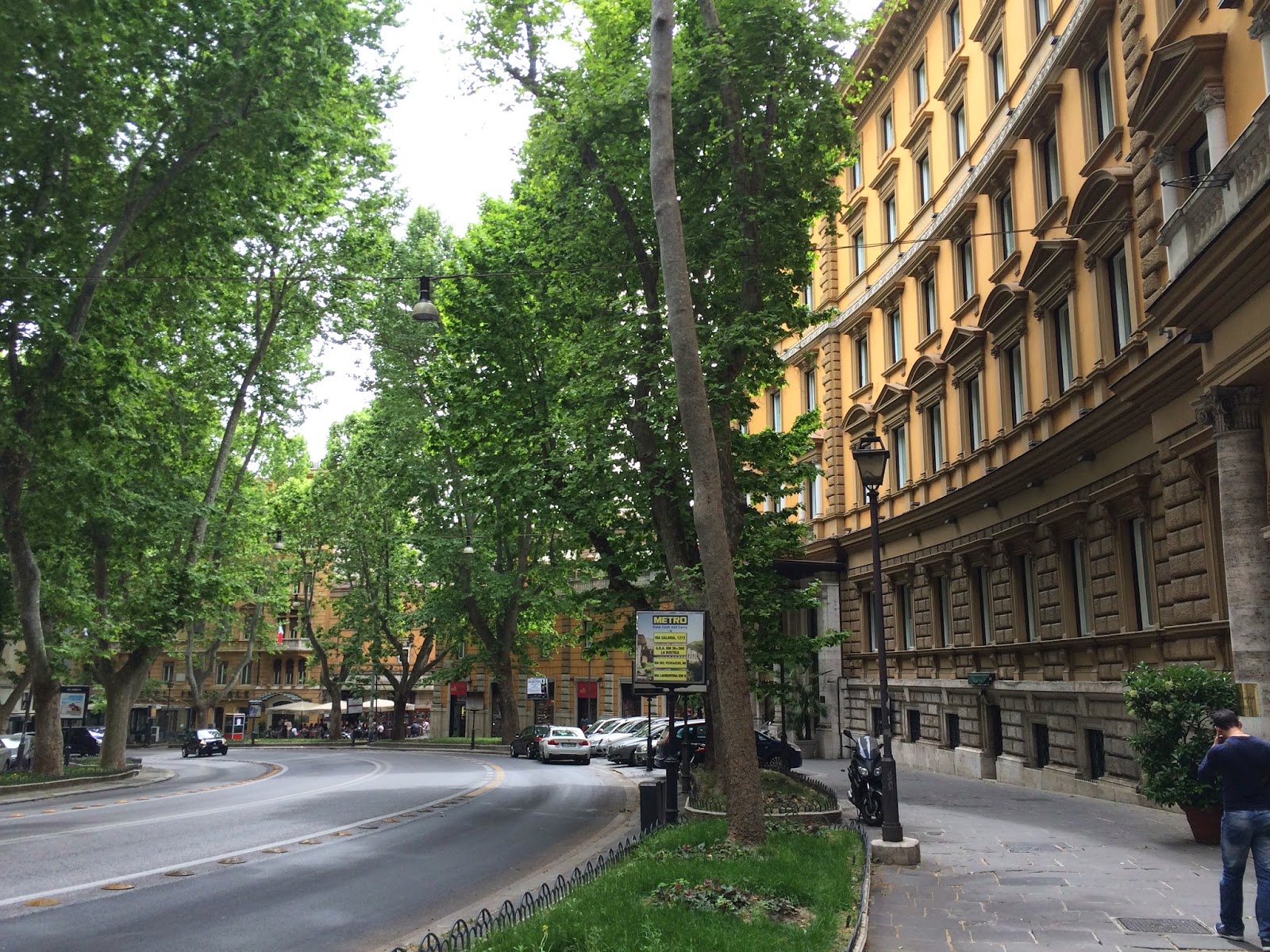 A Veneto Branches