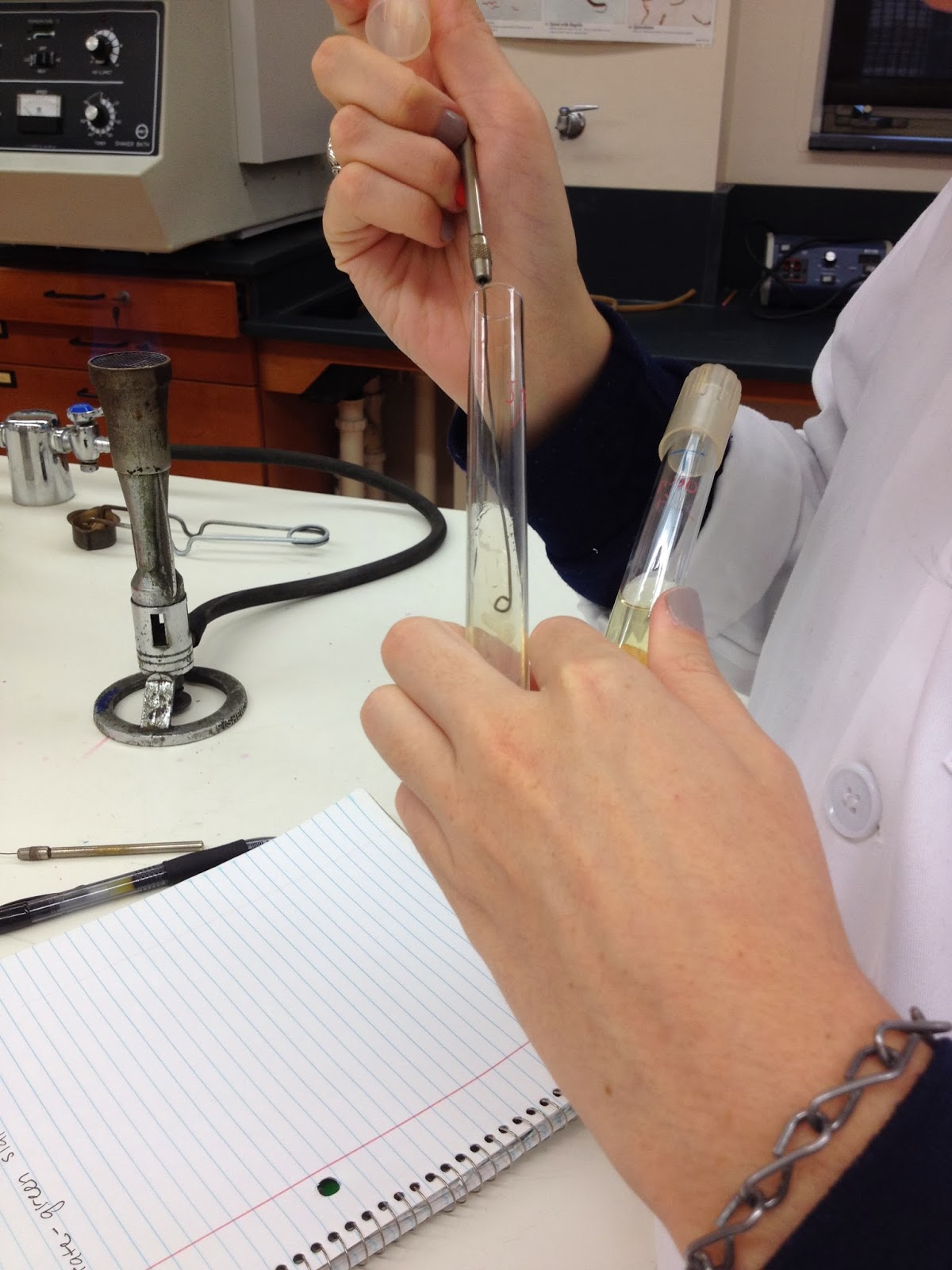 Rose & Lindsey's Medical Microbiology Blog Methyl Red Test and Voges