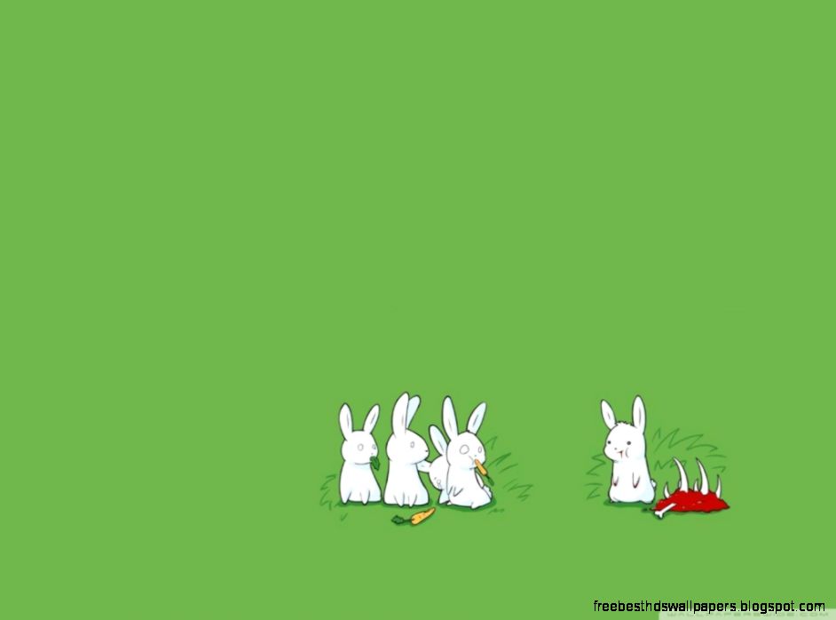 Carnivorous Rabbit HD desktop wallpaper  Widescreen  High