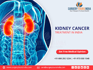 Kidney Cancer surgery in India
