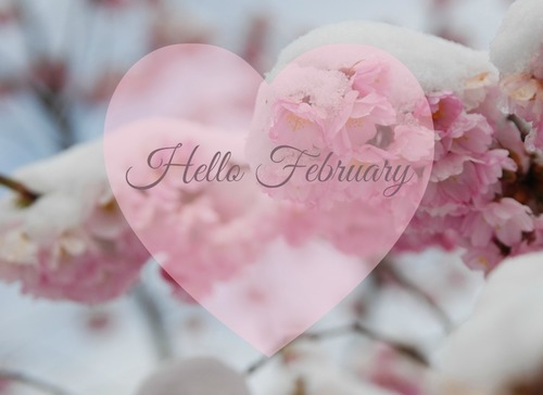 Hello February, please be good to me!