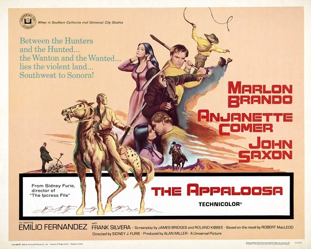 "The Appaloosa" (1966)