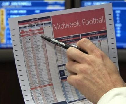 Stop gambling essay 03 picture