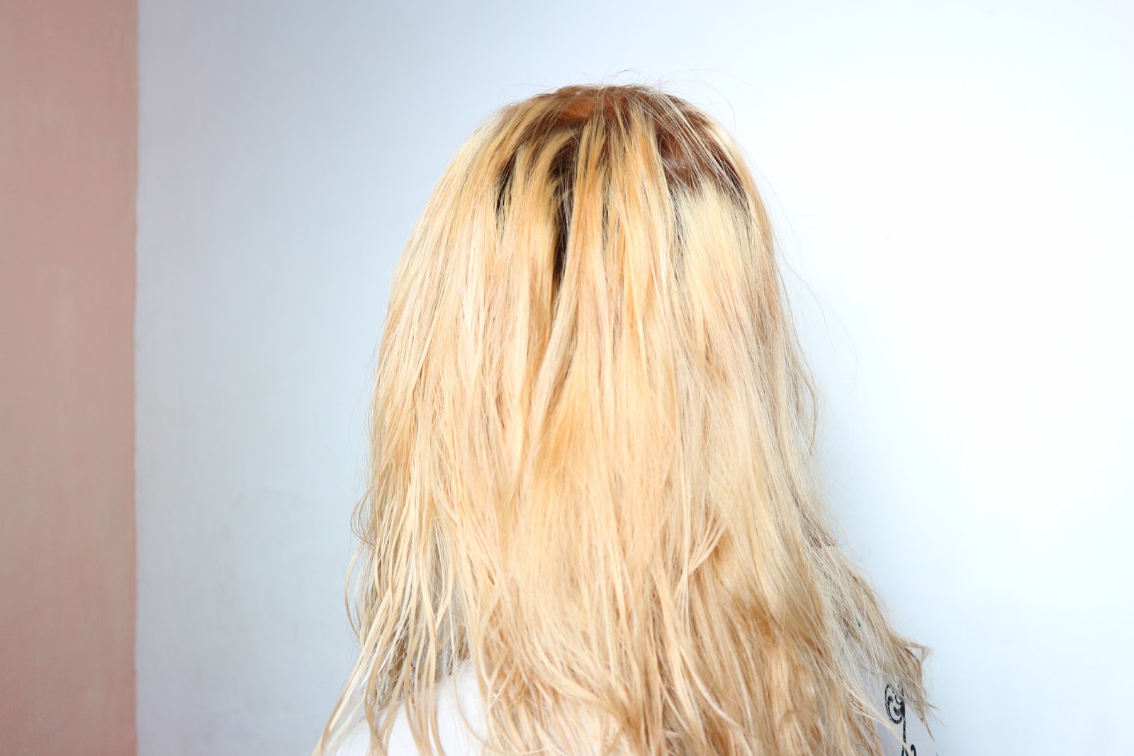 I M Awesome That S Why You Here Do Not Bleach Your Roots By Yourself