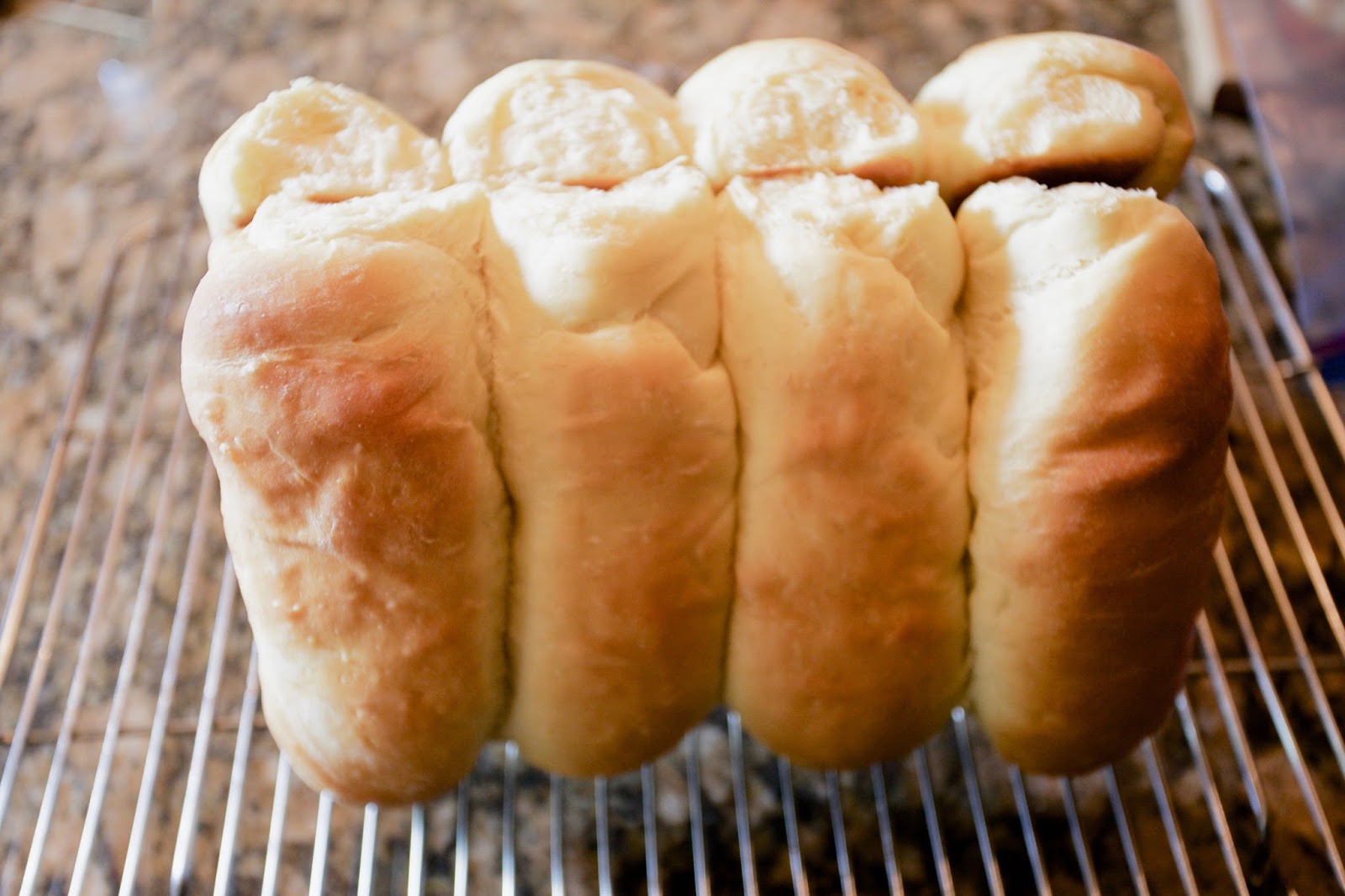 Hot Dog Buns